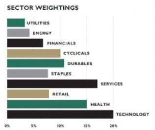 Sector Weightings